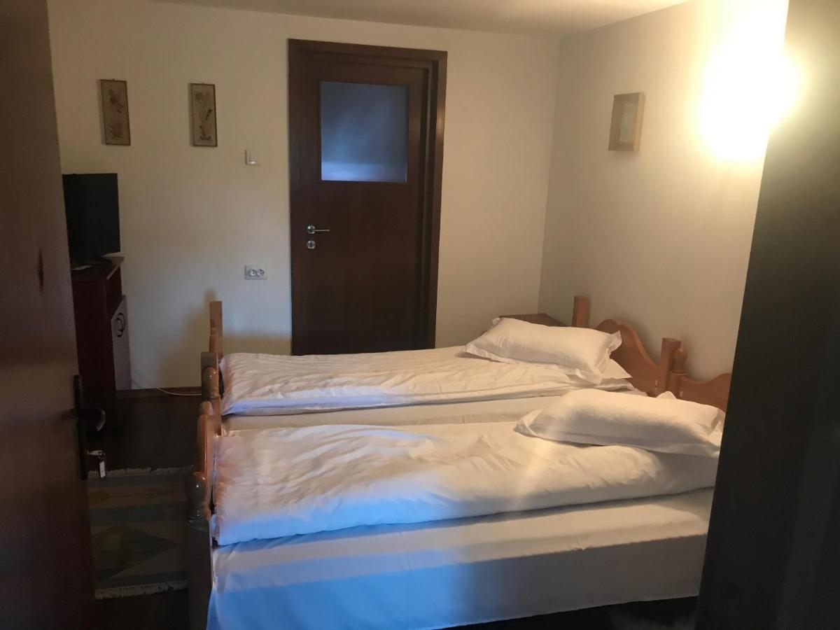 Pensiunea Ardeleanu' Slamnesti Exterior foto